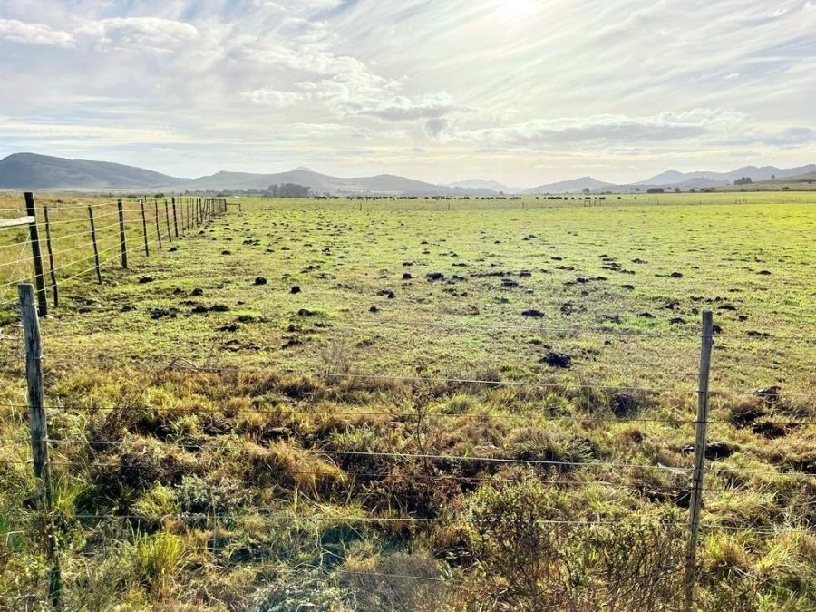 0 Bedroom Property for Sale in Humansdorp Rural Eastern Cape